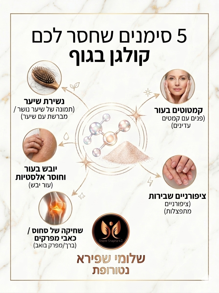 קולגן ביואקטיב