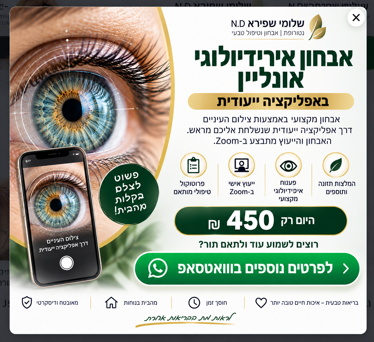 אבחון אירידיולוגי אונליין עם שלומי שפירא N.D
